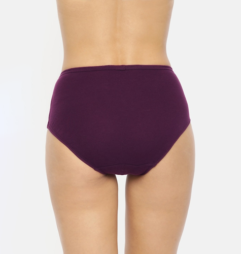 Women Pack of 3 Assorted Solid Antibacterial Hipster Briefs 11101